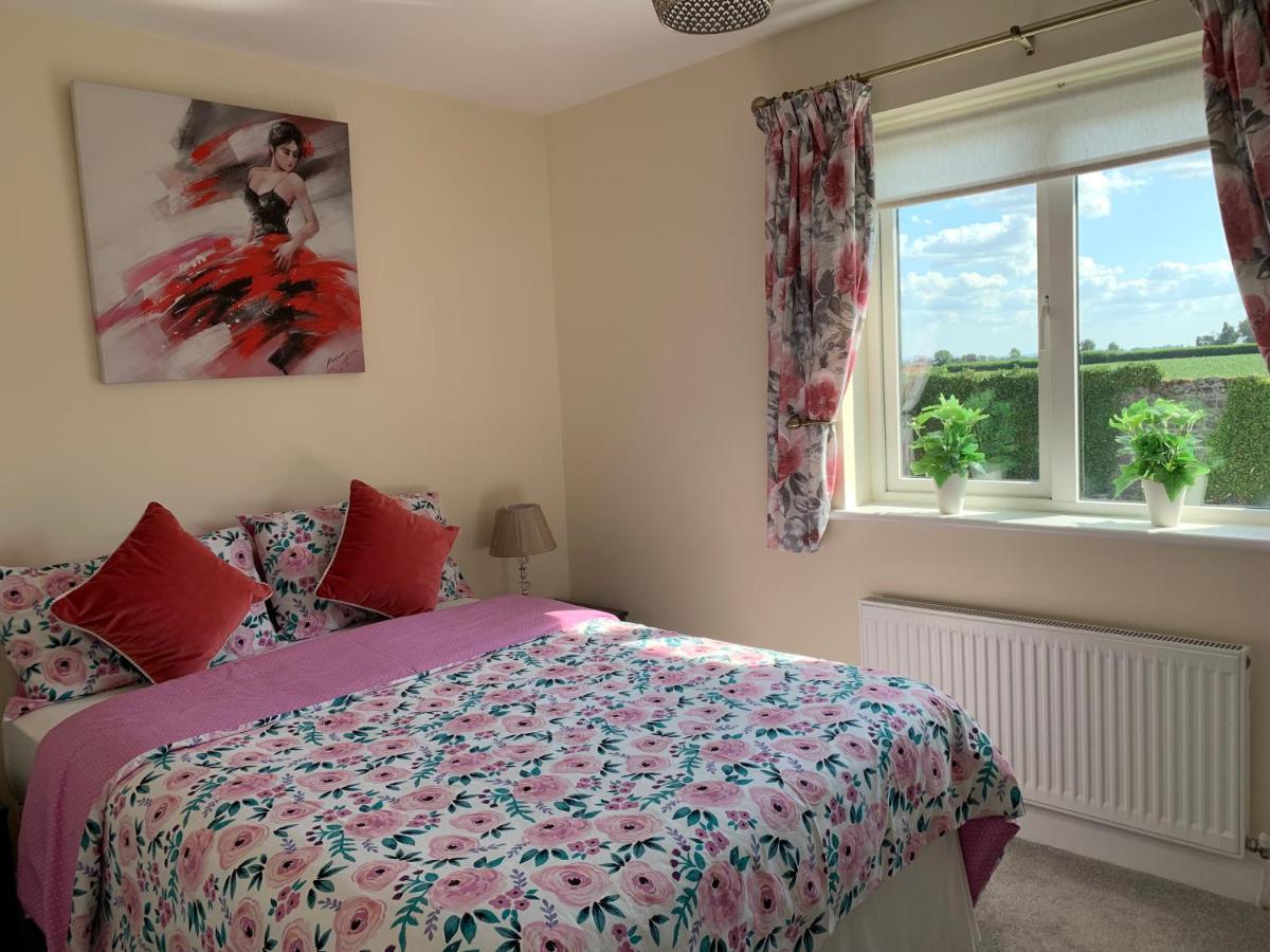 Two Bedroom Town House Beside The River Barrow Carlow Dış mekan fotoğraf