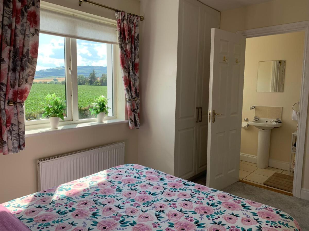 Two Bedroom Town House Beside The River Barrow Carlow Dış mekan fotoğraf