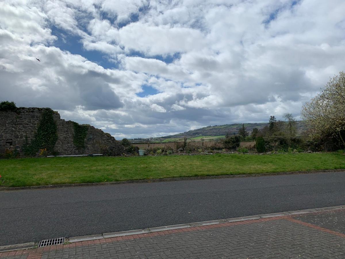 Two Bedroom Town House Beside The River Barrow Carlow Dış mekan fotoğraf